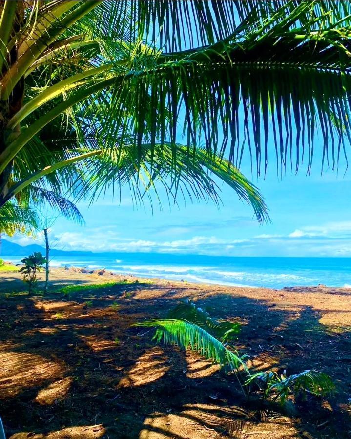 Tortuga Bay Eco Hotel El Valle  Екстер'єр фото
