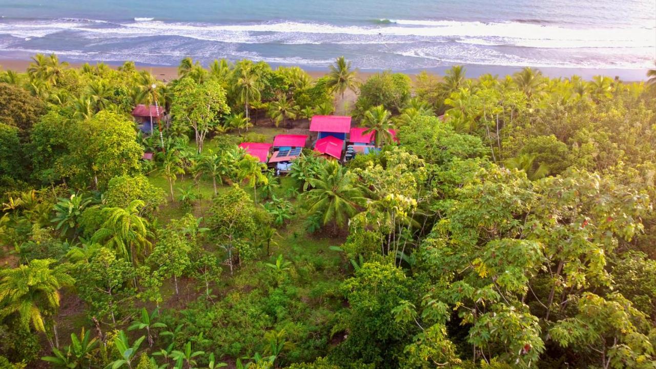 Tortuga Bay Eco Hotel El Valle  Екстер'єр фото