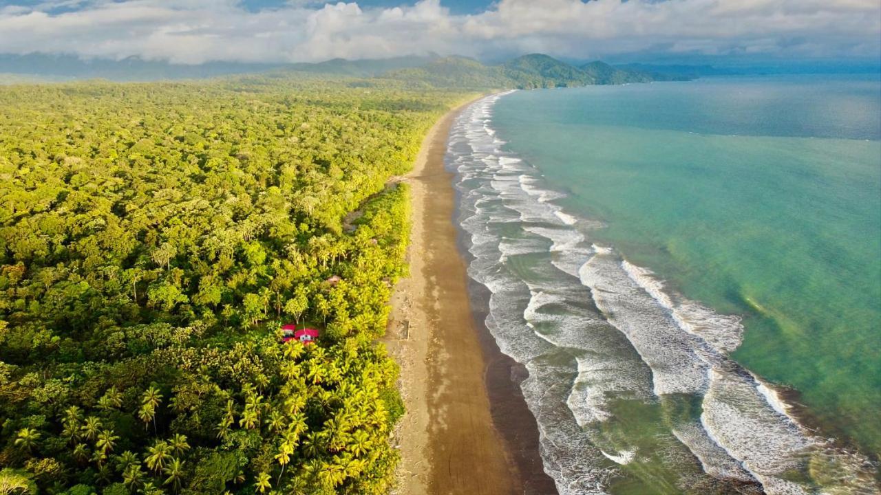 Tortuga Bay Eco Hotel El Valle  Екстер'єр фото